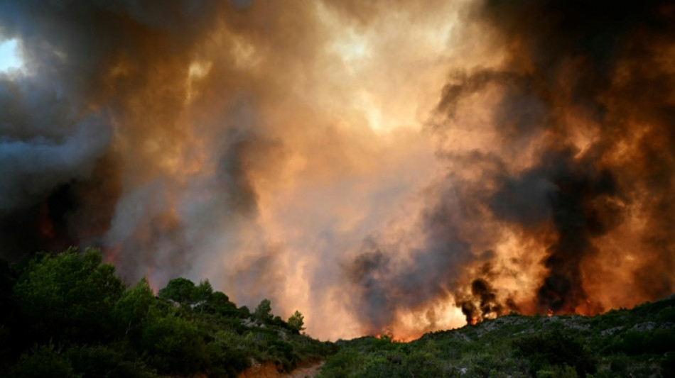 Francia estabiliza un importante incendio forestal