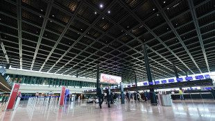 Allarme malaria a Francoforte, morto un dipendente dell'aeroporto
