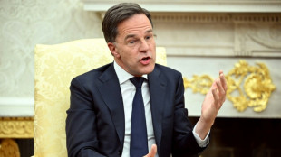 Nato-Generalsekretär Rutte reist zu Gesprächen nach Washington