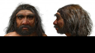 Million-year-old skull could change human evolution timeline