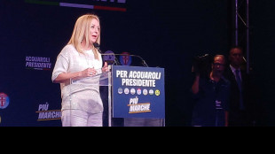 Meloni, c'è chi fa odio per business