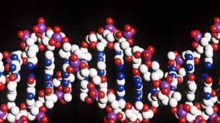 Individuate 74 varianti genetiche legate all'ansia, 39 sono nuove