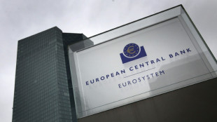 La BCE surveille "de pr&egrave;s" les implications de la situation en Ukraine