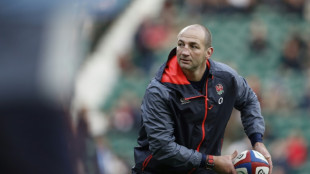 Steve Borthwick appointed England rugby coach - RFU