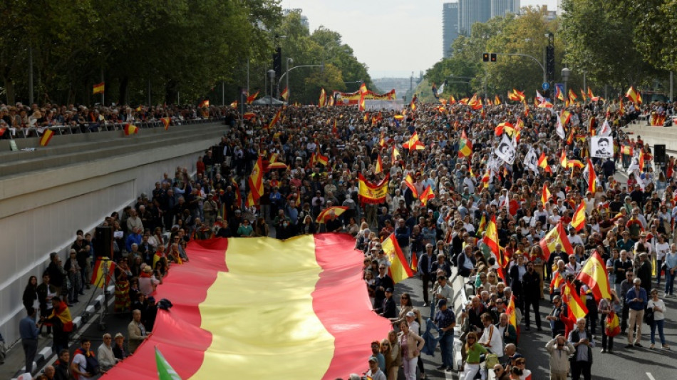 Miles de personas se unen en Madrid a una protesta convocada por la derecha contra el gobierno espa&ntilde;ol