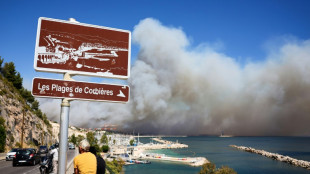 Incendie au nord de Marseille: le feu a gagné la ville