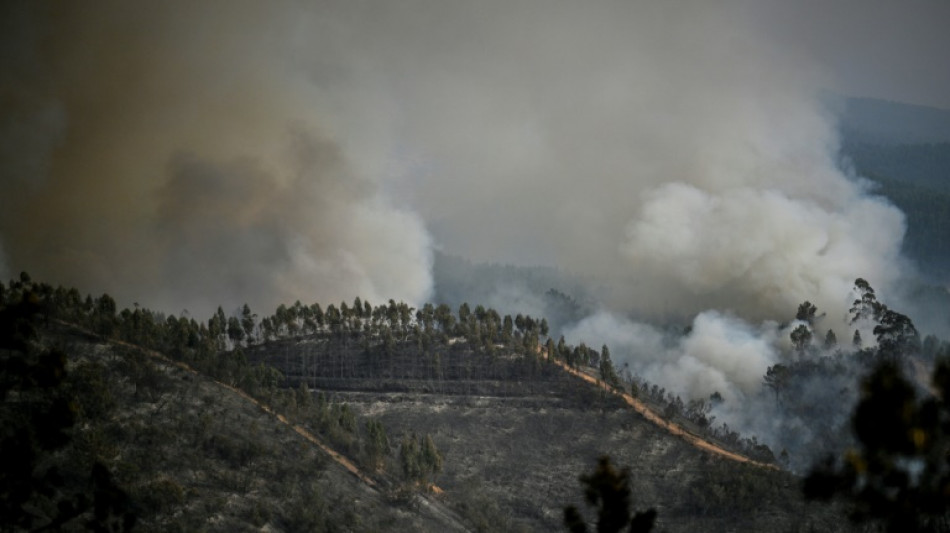 Record heat warning as forest fires rage in Spain and Portugal