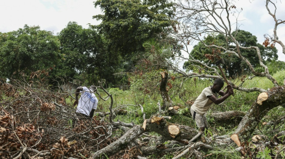 Dans un village du Congo, la pr&eacute;sidentielle creuse la fracture entre jeunes et vieux