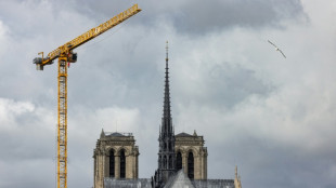 Notre Dame acogi&oacute; a m&aacute;s de 11 millones de visitantes en el primer a&ntilde;o tras su reapertura