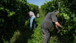 El desempleo se mantuvo estable en Alemania en septiembre