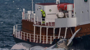 El &uacute;ltimo ballenero de Islandia amenaza con una demanda si se proh&iacute;be la caza