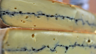Morbier contamin&eacute; par une bact&eacute;rie E.coli: enqu&ecirc;te ouverte pour mise en danger