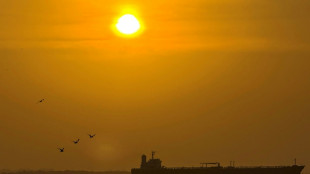 Les Etats-Unis et le Venezuela annoncent un accord p&eacute;trolier "historique"