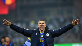 Mondiali: Dzeko, anch'io ho la Bosnia sulle spalle