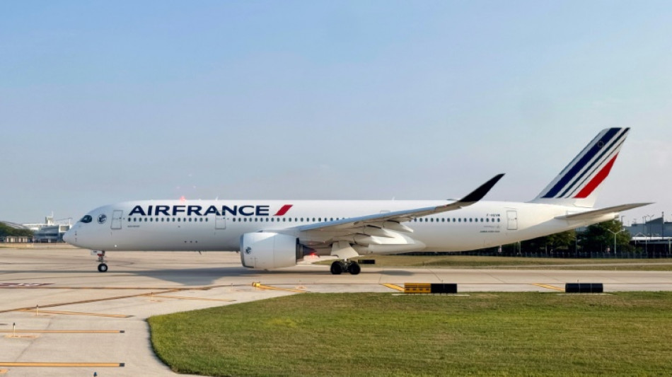 Air France suspende por precauci&oacute;n el sobrevuelo de una zona del mar Rojo