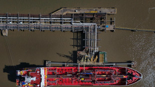 Il petrolio apre in rialzo a New York ma sotto 80 dollari (a 76,21 dollari)