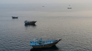 Oman et T&eacute;h&eacute;ran n&eacute;gocient la r&eacute;gulation du d&eacute;troit d'Ormuz sans d&eacute;blocage en vue