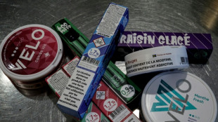 Sachets de nicotine: le Conseil d'Etat suspend un d&eacute;cret d'interdiction devant entrer en vigueur en avril
