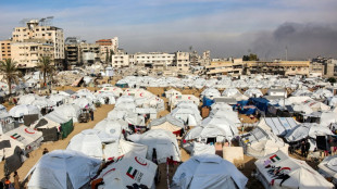 S&oacute;lo 12 camiones entregaron alimentos y agua en el norte de Gaza desde octubre, alerta Oxfam