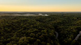 Esplosione in Tennessee, 'dalle ricerche nessun sopravvissuto'