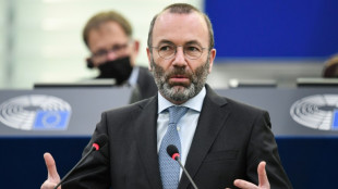 Weber: Europawahl kann wegen Migration Schicksalswahl f&uuml;r Kontinent werden