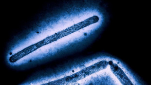 US announces new funds for mRNA vaccines, fast tracks bird flu tests