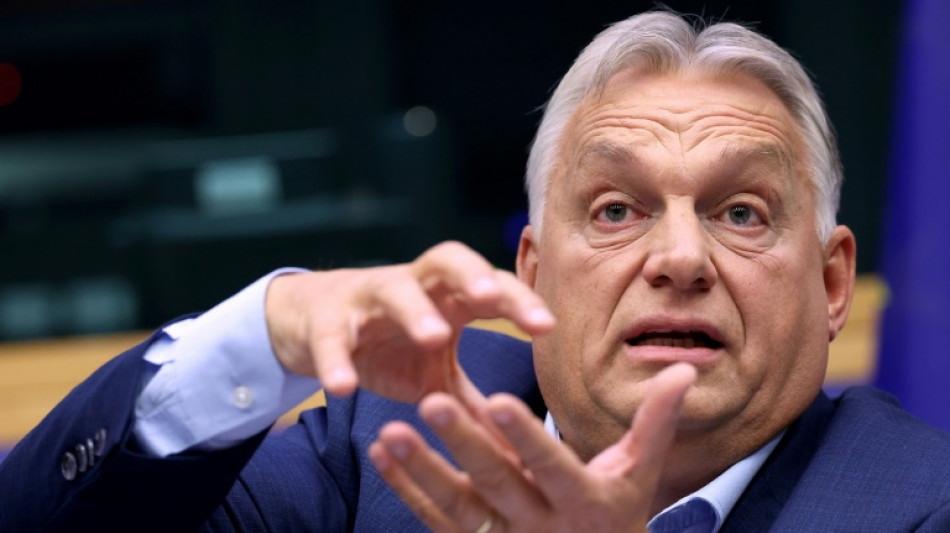 Orban afirma que brindar&aacute; con champ&aacute;n si Trump es electo y pide una nueva estrategia para Ucrania