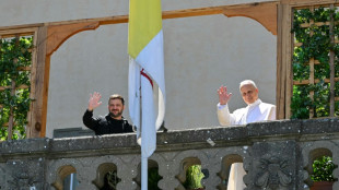 Zelensky reçu par le pape à la veille d'une conférence sur l'Ukraine à Rome