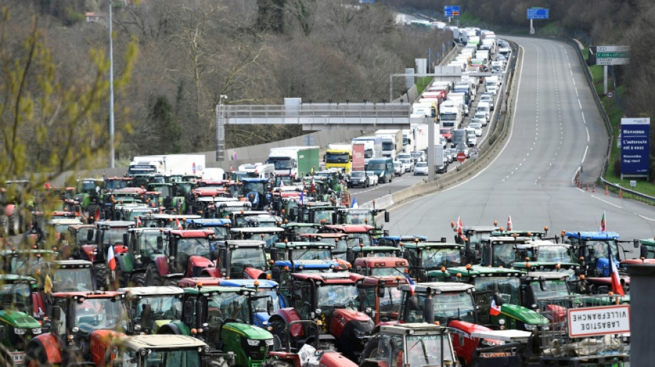 Agricultores franceses y espa&ntilde;oles bloquean la frontera para "tener peso" en las elecciones europeas
