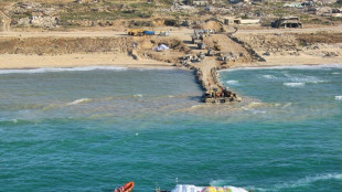 Gaza recibe v&iacute;veres por mar y aguarda posible tregua entre Ham&aacute;s e Israel