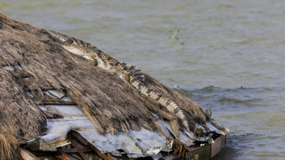La subida del agua en lagos en Kenia lleva a los cocodrilos m&aacute;s cerca de los hogares