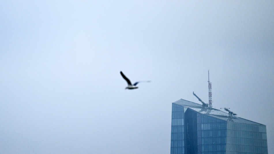 La IA todav&iacute;a no elimina masivamente empleos en Europa, seg&uacute;n economistas del BCE