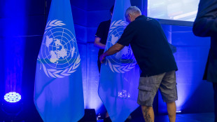 Media, 'Usa pronti a versare 725 milioni di dollari all'Onu'