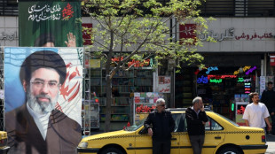 Tokyo confirms Japanese national held by Iran freed 