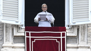 Il Papa, 'auspico negoziati su Ucraina portino frutti, aprire al dialogo'