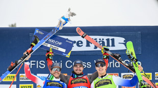 Skicross: Deromedis terzo a Idre, la coppa del mondo va a Howden