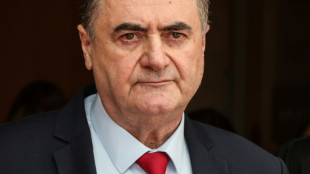 El nuevo ministro de Defensa israel&iacute; jura el cargo en el Parlamento