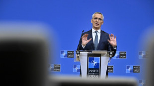 NATO to grapple with Ukraine membership push at summit