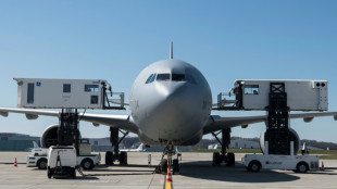 Breve interrupci&oacute;n del tr&aacute;fico en el aeropuerto franco-suizo de Basilea-Mulhouse por una alerta de bomba
