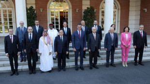 Diplom&aacute;ticos de pa&iacute;ses europeos y &aacute;rabes abordan en Madrid la creaci&oacute;n de un Estado palestino