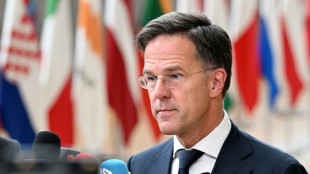Hungr&iacute;a apoya a Rutte para ser el pr&oacute;ximo jefe de la OTAN