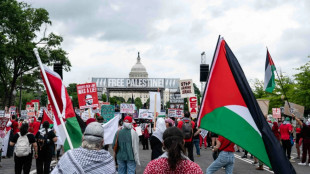 Des milliers de manifestants anti-Netanyahu pr&egrave;s du Congr&egrave;s am&eacute;ricain avant son discours