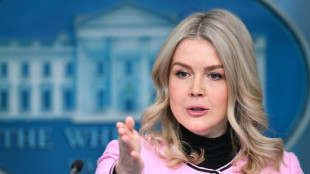 Sprecherin: Trump hat "intensiv" &uuml;ber Kauf Gr&ouml;nlands diskutiert