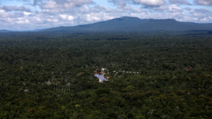 Venezuela, Guyana leaders meet to 'de-escalate' tensions