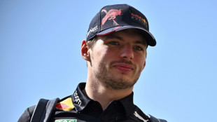F1: Verstappen r&eacute;pond &agrave; Hamilton aux essais &agrave; Abou Dhabi