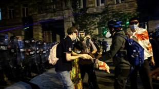 G&eacute;orgie: des manifestants pro-UE &eacute;rigent des barricades devant le Parlement