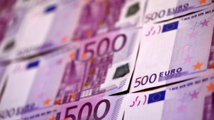 Höhere Staatsausgaben ließen Staatsquote 2024 auf 49,5 Prozent steigen