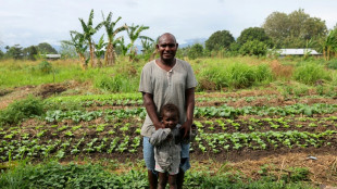 Aux Îles Salomon, les bombes de la Seconde Guerre mondiale continuent de tuer