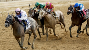 Arcangelo wins Belmont Stakes