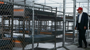 US judge orders temporary halt to new 'Alligator Alcatraz' construction